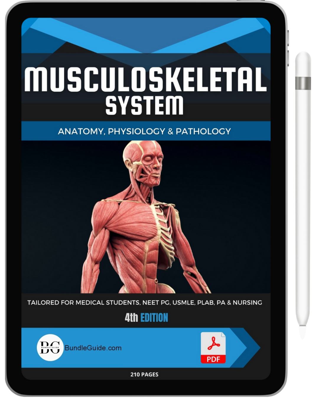 All 21 Medical Study Notes Bundle Pack